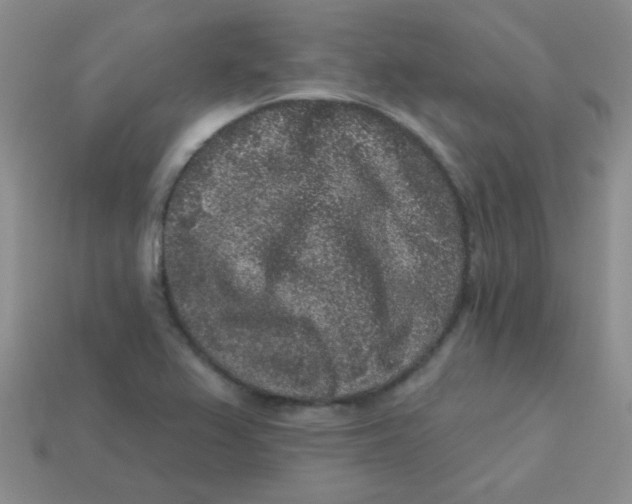 X0000113611367200910091532