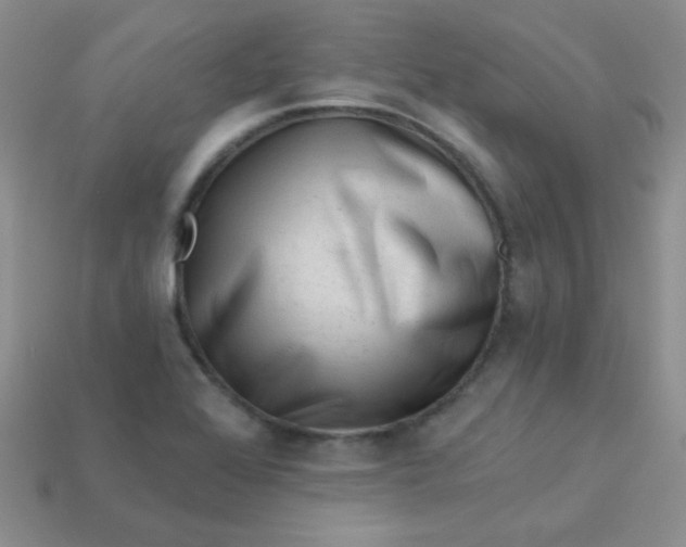 X0000113611368200910091532