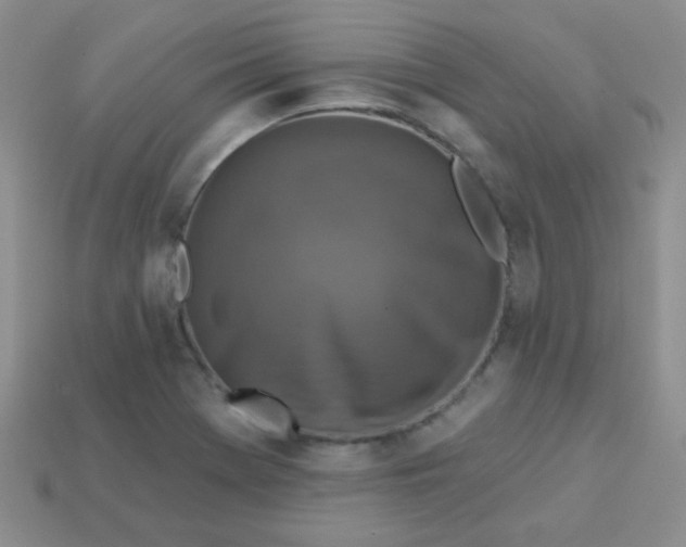 X0000113611369200910091532