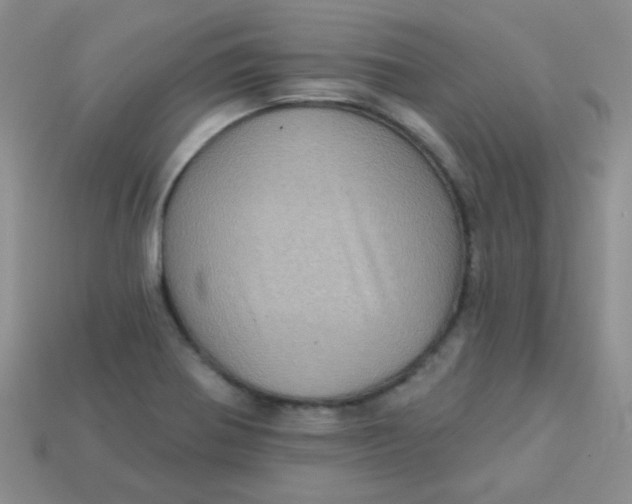 X0000113611370200910091532