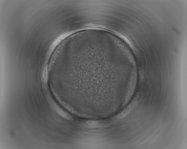 X0000113611371200910091532