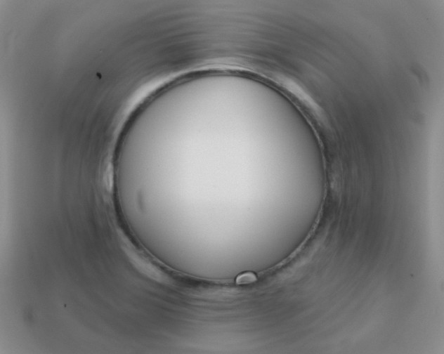 X0000113611372200910091532