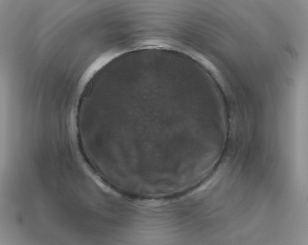 X0000113611373200910091532