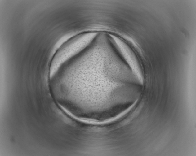 X0000113611374200910091532