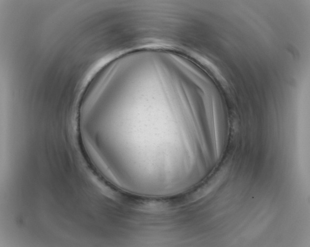 X0000113611375200910091532