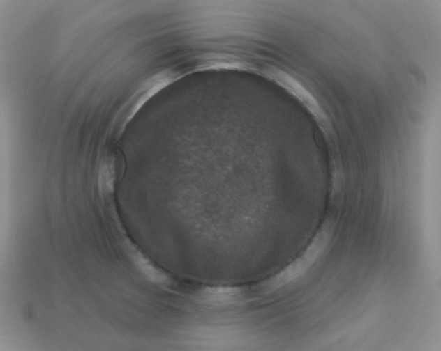 X0000113611377200910091532