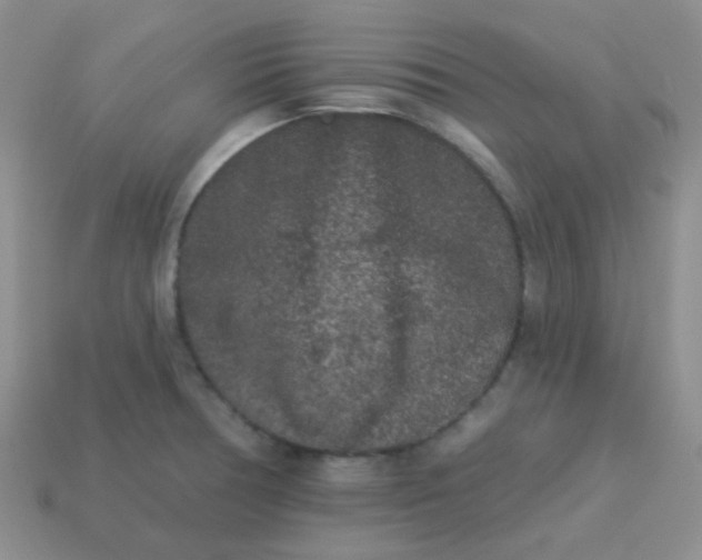 X0000113611378200910091532