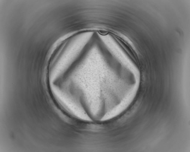 X0000113611379200910091532