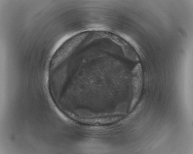 X0000113611383200910091532