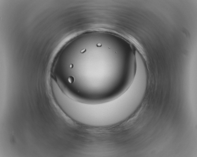 X0000113611384200910091532