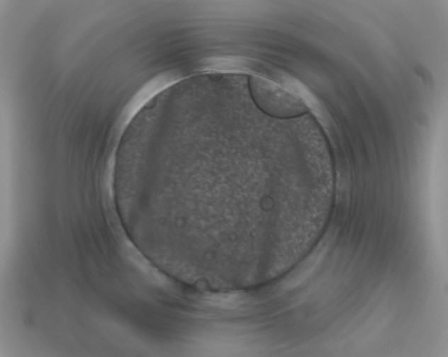 X0000113611386200910091532