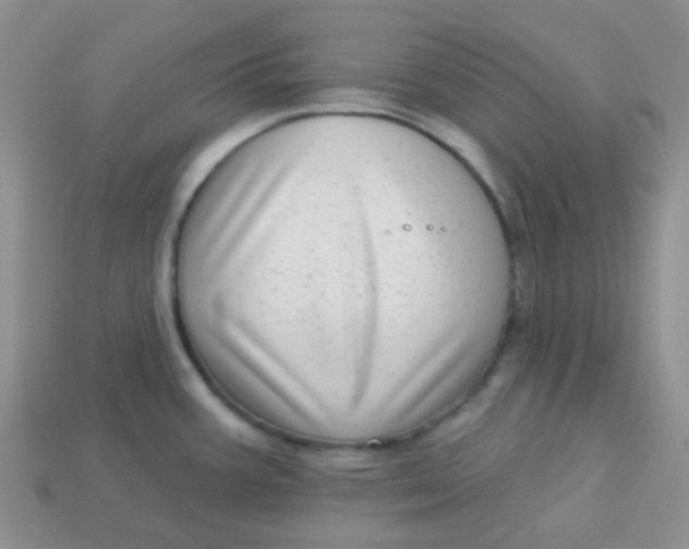 X0000113611387200910091532