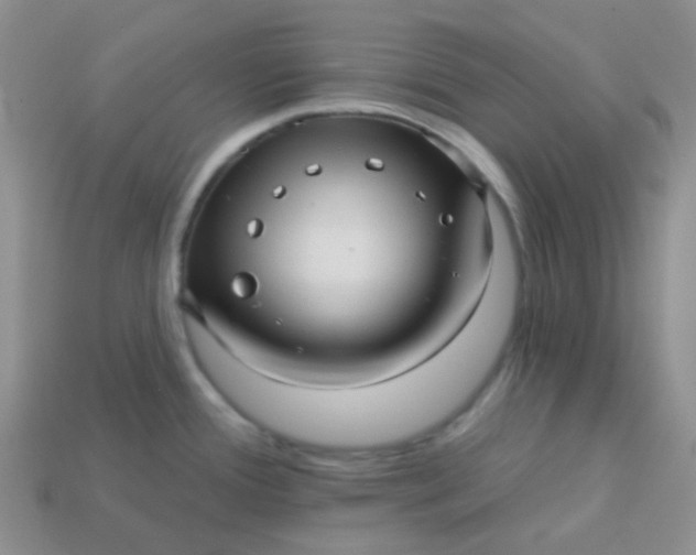 X0000113611388200910091532