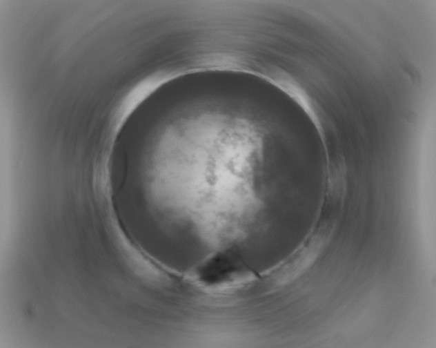 X0000113611389200910091532