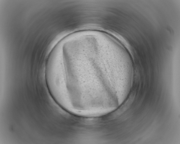 X0000113611390200910091532