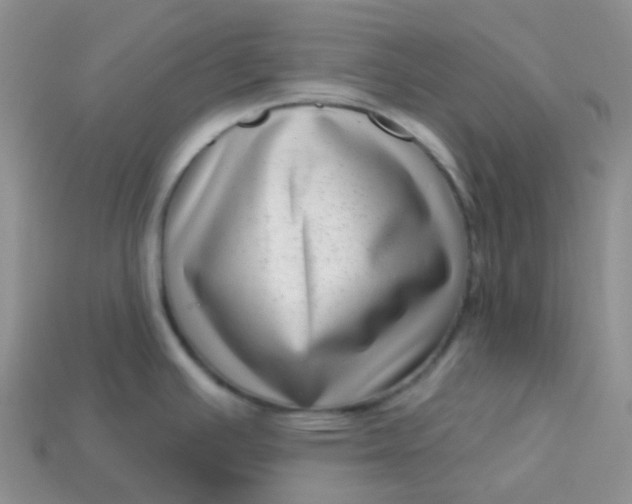 X0000113611391200910091532