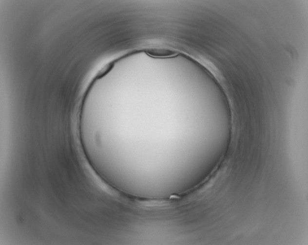 X0000113611392200910091532