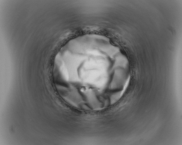 X0000113611393200910091532