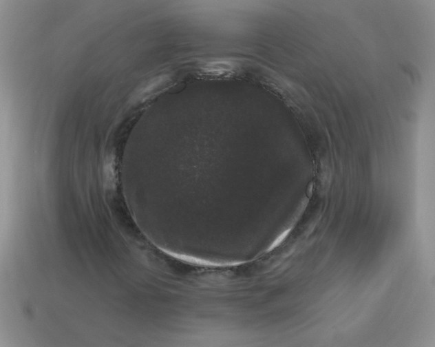 X0000113611394200910091532