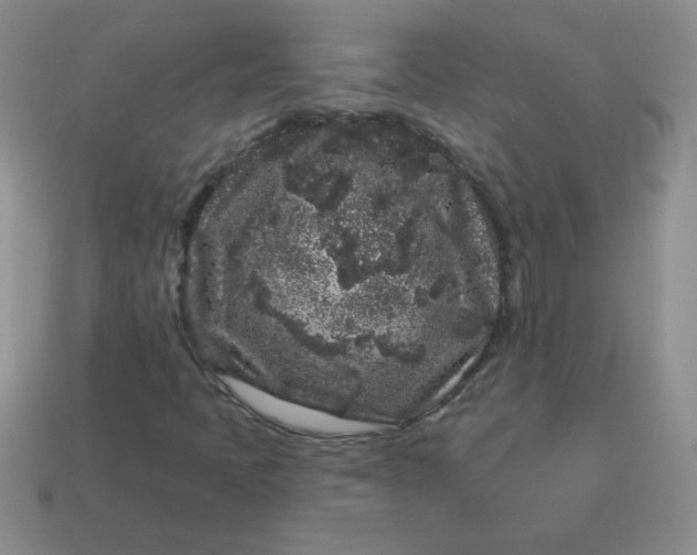 X0000113611397200910091532