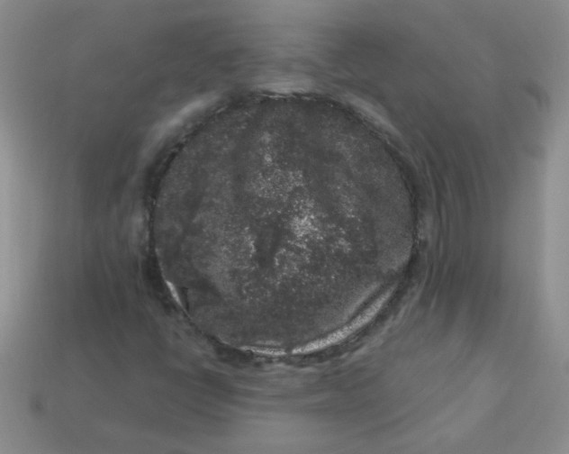 X0000113611398200910091532