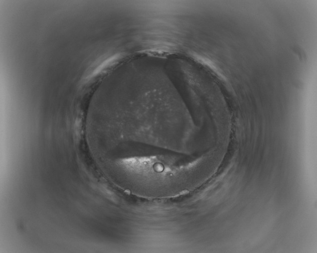 X0000113611399200910091532