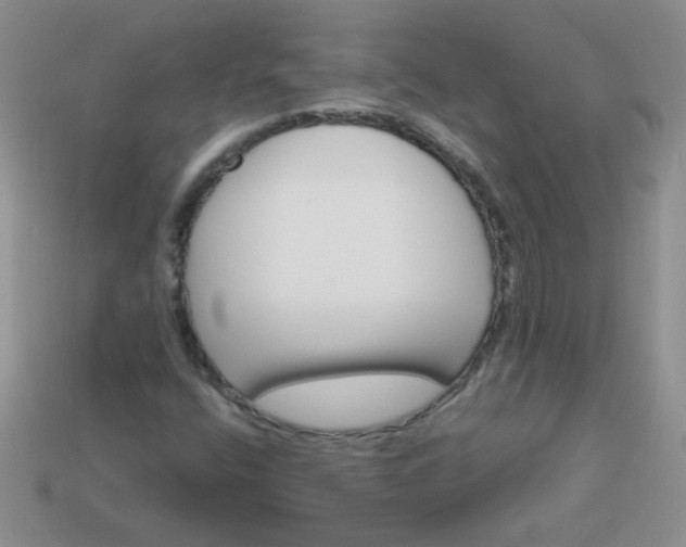 X0000113611400200910091532