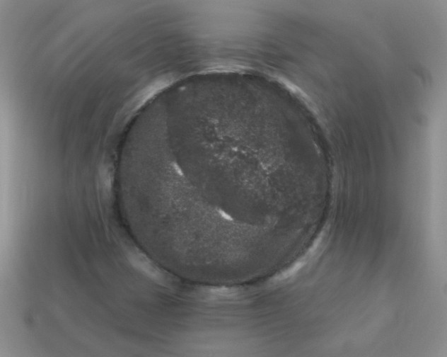 X0000113611401200910091532