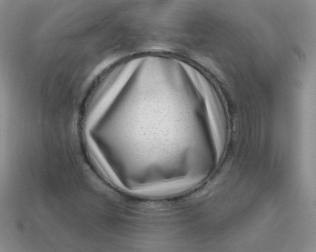 X0000113611404200910091532