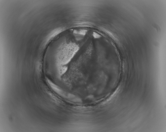 X0000113611405200910091532