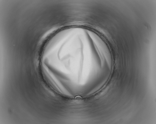 X0000113611406200910091532