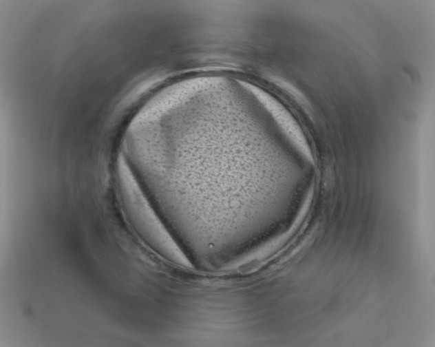 X0000113611407200910091532