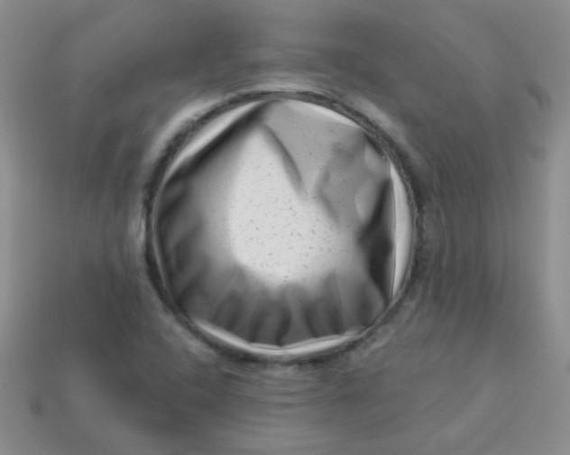 X0000113611408200910091532