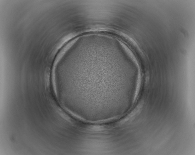 X0000113611409200910091532