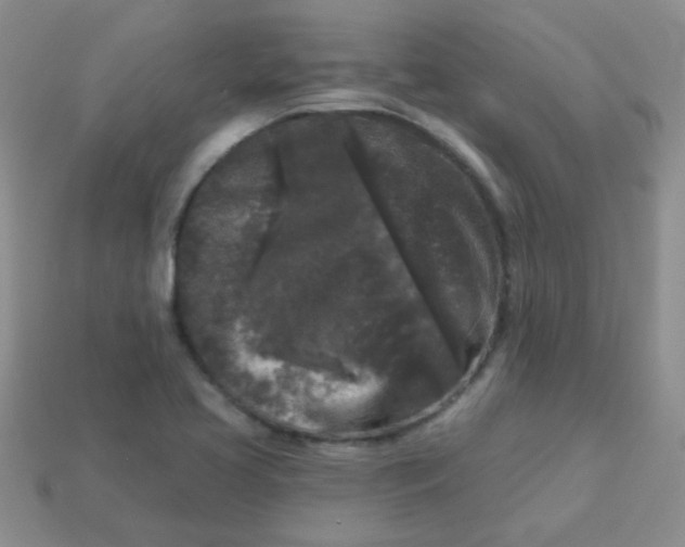 X0000113611413200910091532