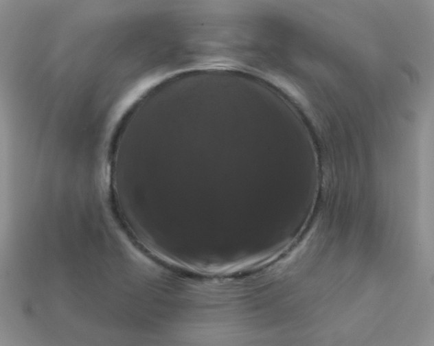 X0000113611414200910091532