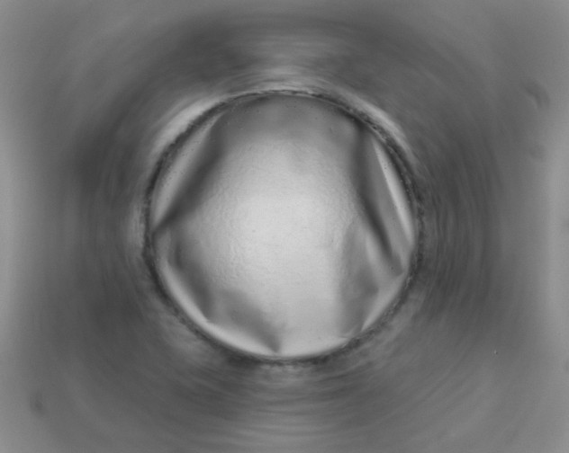 X0000113611415200910091532