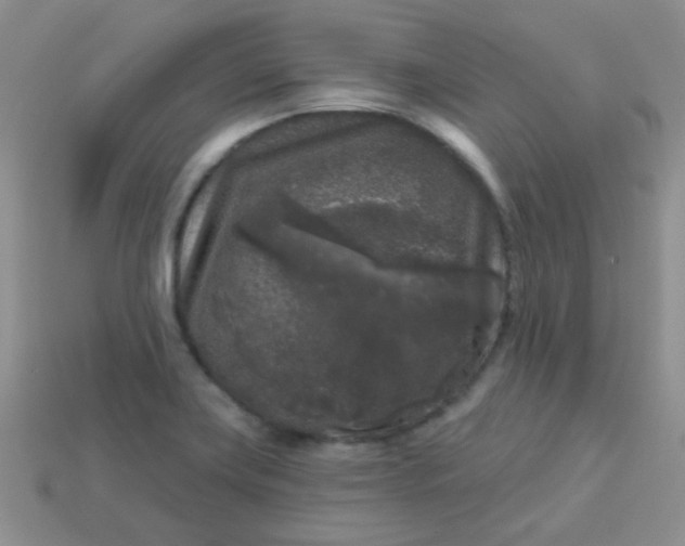 X0000113611419200910091532