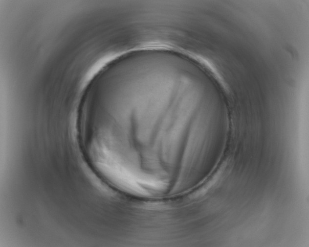 X0000113611422200910091532