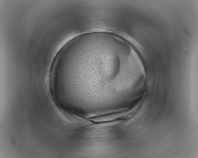 X0000113611423200910091532