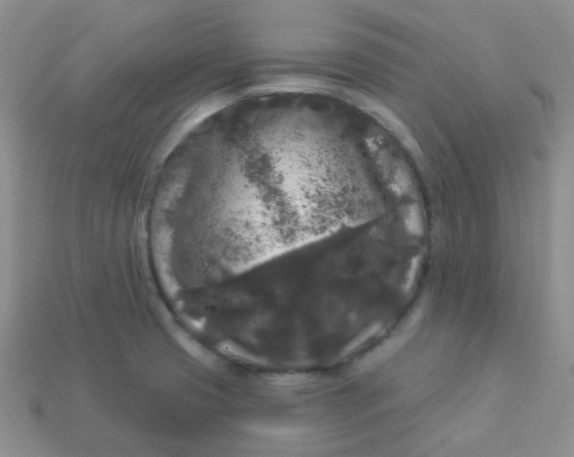 X0000113611425200910091532