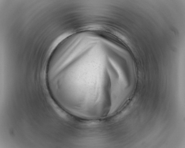 X0000113611426200910091532