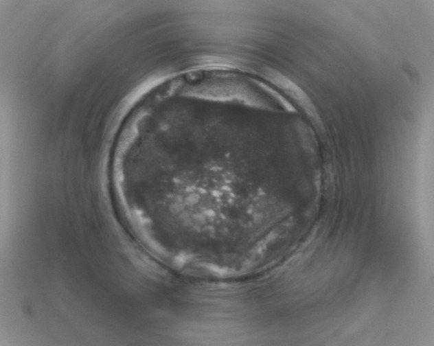 X0000113611427200910091532