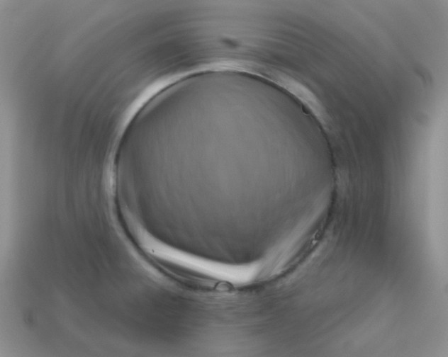 X0000113611428200910091532