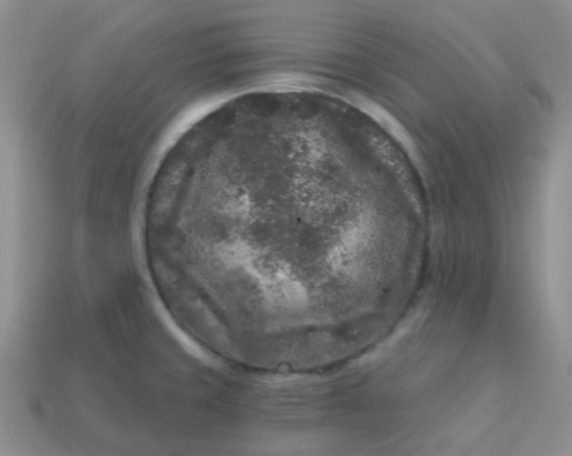 X0000113611429200910091532