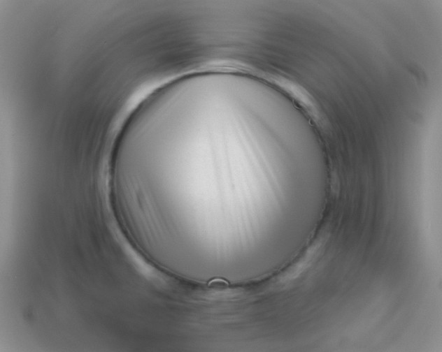 X0000113611430200910091532