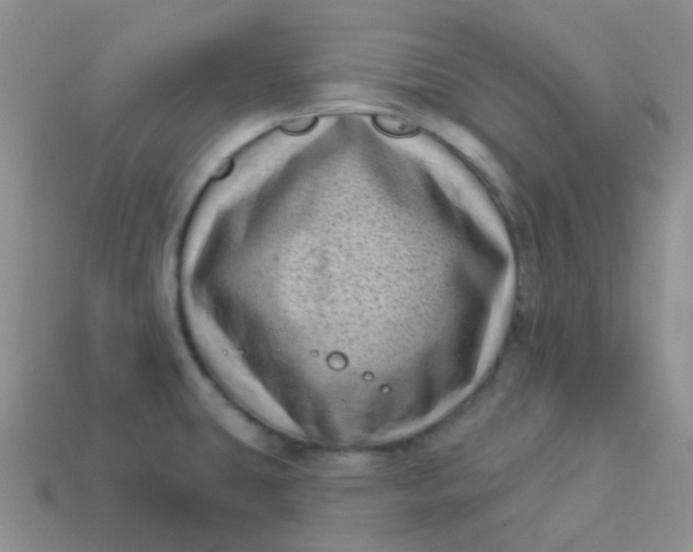 X0000113611431200910091532