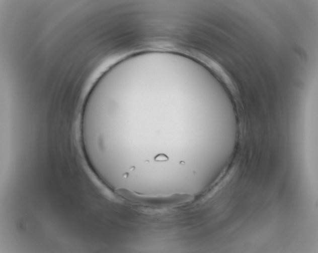 X0000113611432200910091532