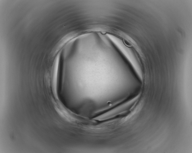 X0000113611433200910091532