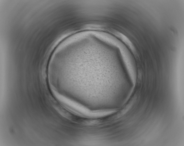 X0000113611435200910091532